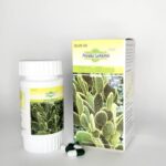 كبسولات الصبار